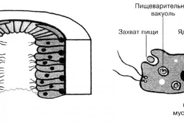 Зеркало kraken тор ссылка рабочее