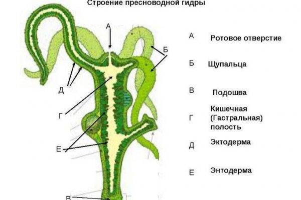 Кракен ссылка на тор