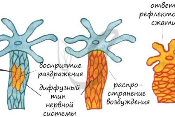 Кракен сайт ссылка kr2web in